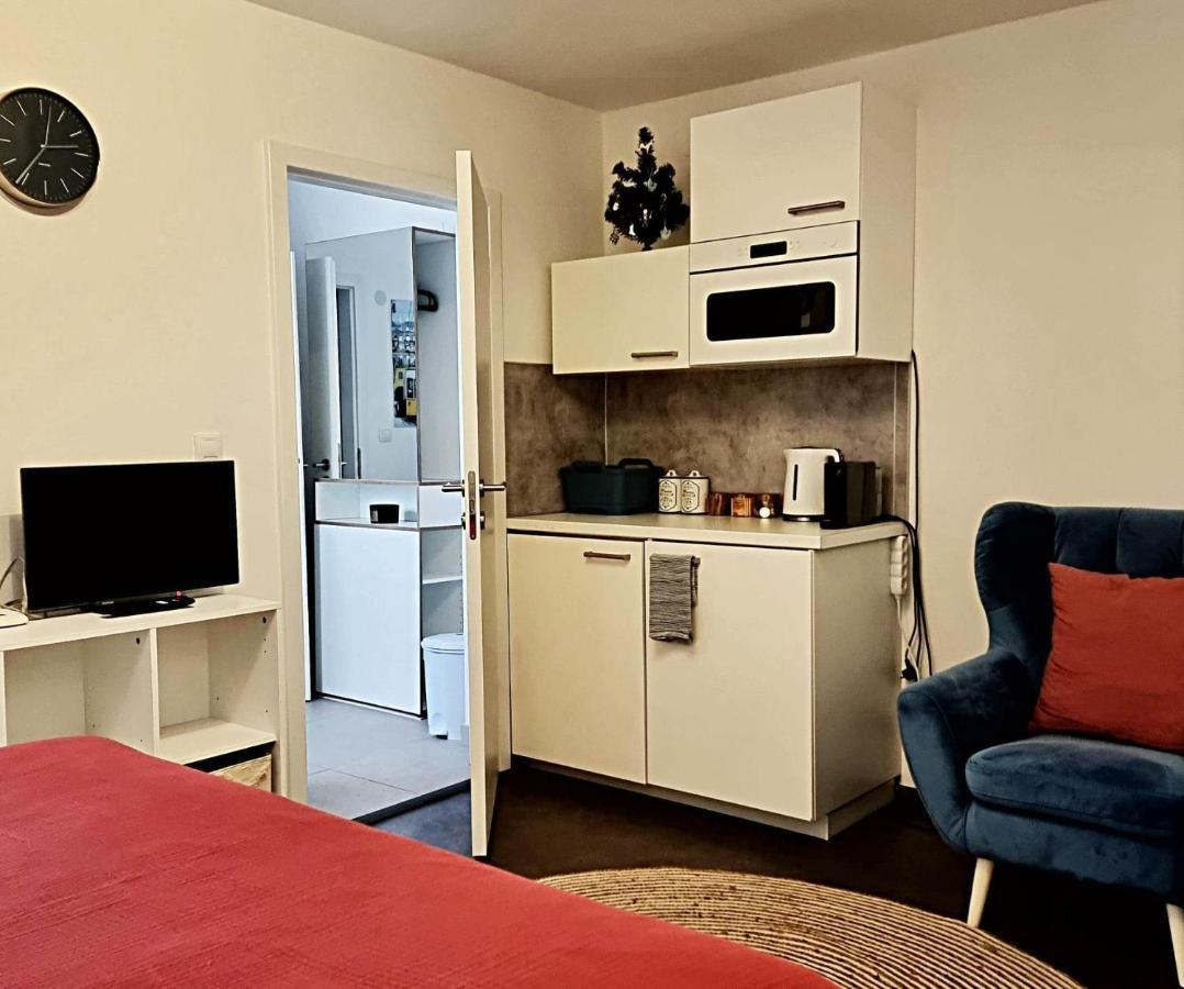 Apartman Zlaty Kriz 皮塞克 外观 照片